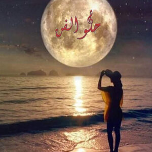 حلو الفن – الفنّ الغنائي من الإبداع التوّاق .. الى زمن الطقطاق.. بقلم رئيس التحرير