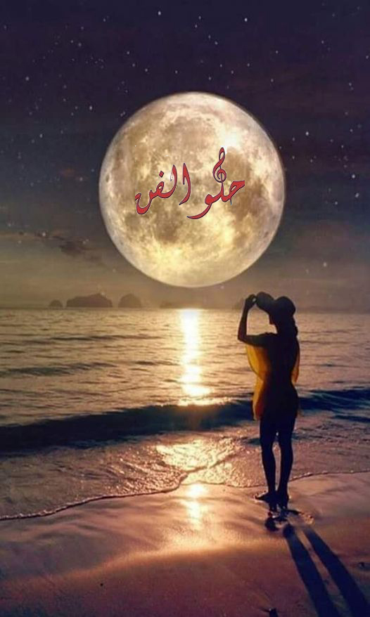حلو الفن – الفنّ الغنائي من الإبداع التوّاق .. الى زمن الطقطاق.. بقلم رئيس التحرير