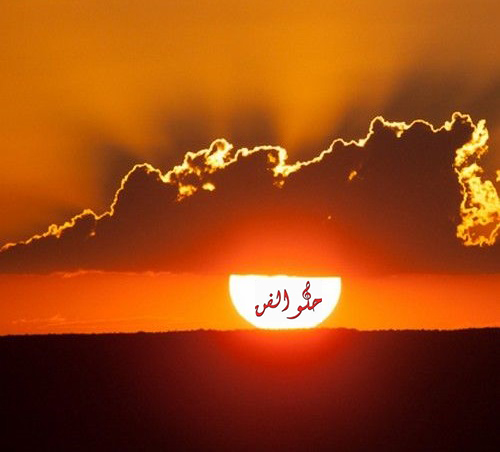 حلو الفن – ضوء ع الخفيف.. بقلم رئيس التحرير