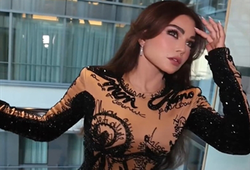 حلو الفن – هيفاء وهبي بفستان قصير بلون الجلد في حفل بألمانيا